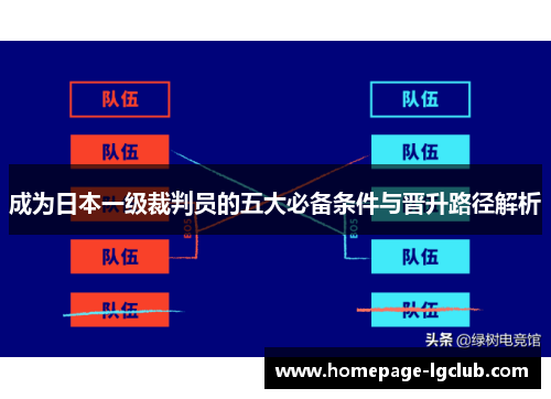 成为日本一级裁判员的五大必备条件与晋升路径解析