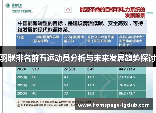 羽联排名前五运动员分析与未来发展趋势探讨