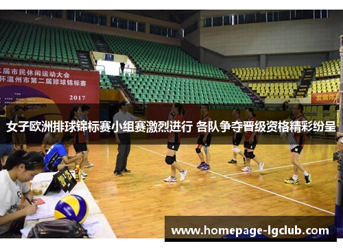 女子欧洲排球锦标赛小组赛激烈进行 各队争夺晋级资格精彩纷呈