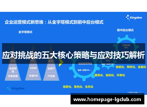 应对挑战的五大核心策略与应对技巧解析