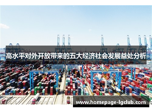 高水平对外开放带来的五大经济社会发展益处分析