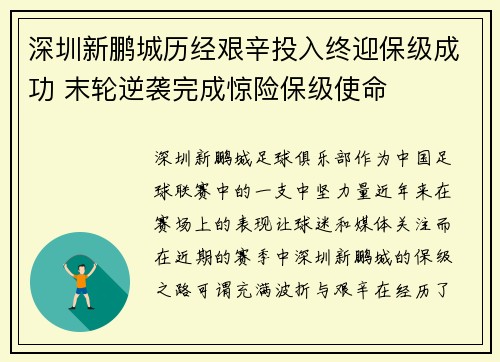 深圳新鹏城历经艰辛投入终迎保级成功 末轮逆袭完成惊险保级使命